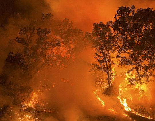 Chaleur mortelle et nouvelles catastrophes